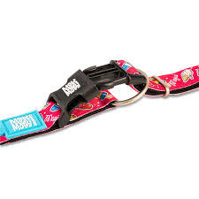 Max & Molly Collar L 
