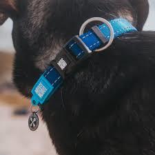 Max & Molly Smart ID Collar MATRIX - L