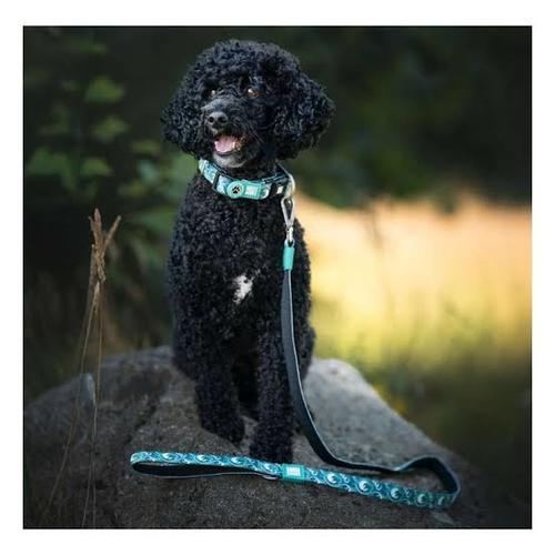 Max & Molly Smart ID Collar L