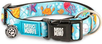 Max & Molly Smart ID Collar XS