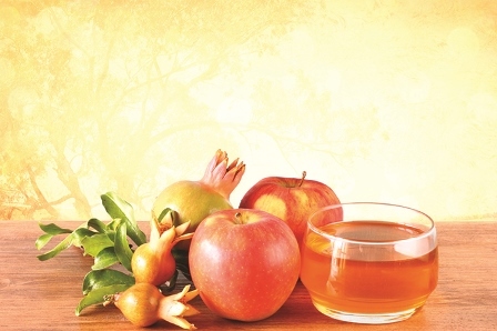 מדבקות מלבניות 18 יח' 