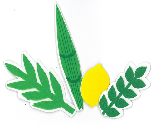 מדבקות סול ארבעת המינים