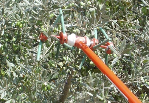 מנערת זיתים ,מנערת זיתים חשמלית 4 ראשים (16 אצבעות) מקצועית דגם T12V יצרן Rampalakos