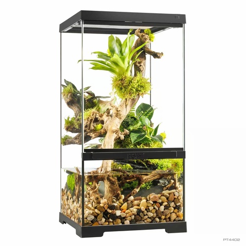 אקזוטרה טרריום פרו XS אקסטרה גבוה 30X30X60 ס