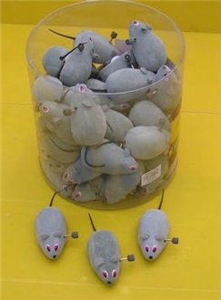 עכבר על גלגלים לחתולים