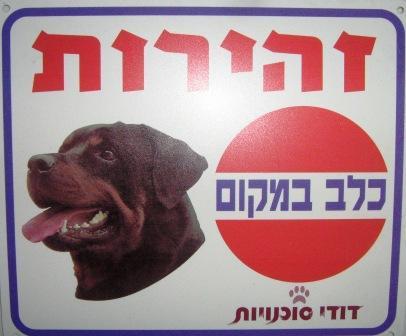 שלט 