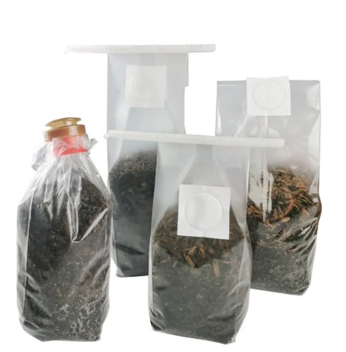 שקית לגידול פטריות
