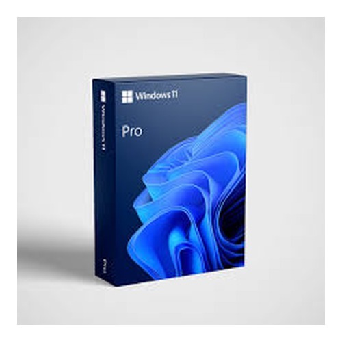 Win 11 Pro 64Bit Eng 1pk DVD