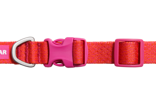 Front Range® Flex Collar