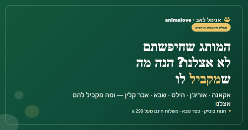 מדריך תחליפים למותגי מזון וחול לחיות מחמד - מה מקביל אצל אנימל לאב