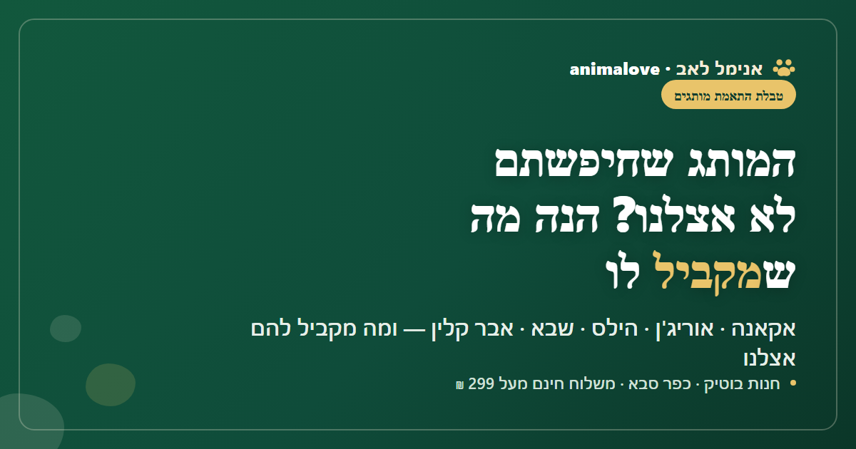 המותג שחיפשתם לא אצלנו? הנה מה שמקביל לו