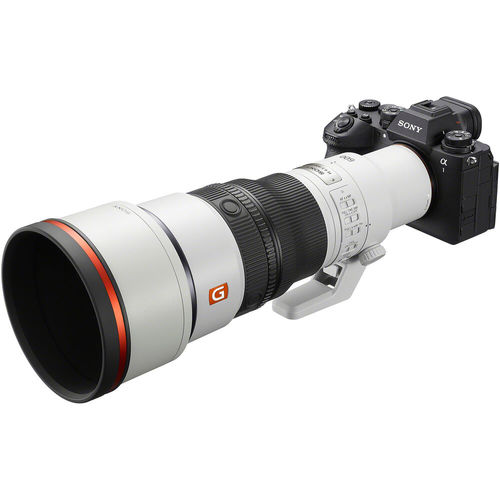 עדשה Sony FE 600mm f/6.3 GM OSS