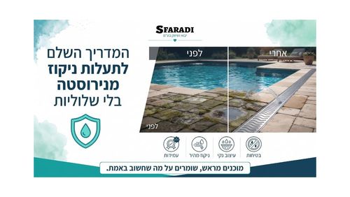 המדריך השלם לתעלות ניקוז מנירוסטה לברכה בלי שלוליות