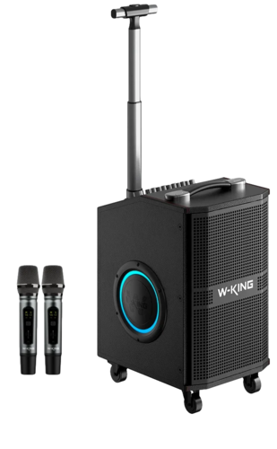 בידורית + 2 מיקרופונים דגם K21SE 120W מבית W-KING