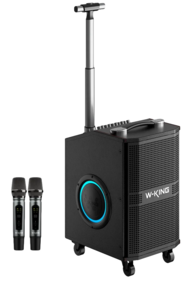 בידורית + 2 מיקרופונים דגם K21SE 120W מבית W-KING