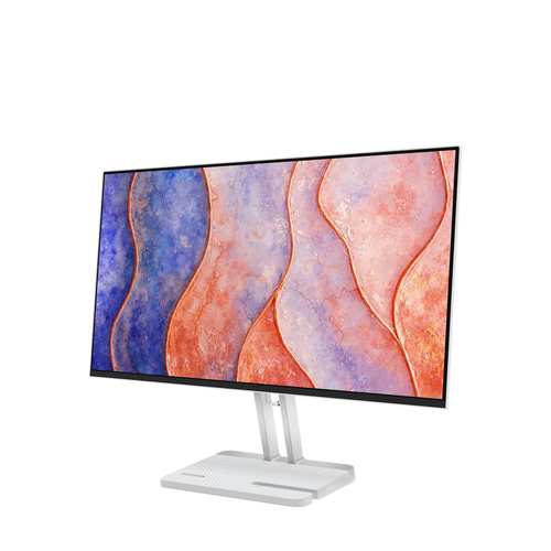 Lenovo L24-4C Monitor