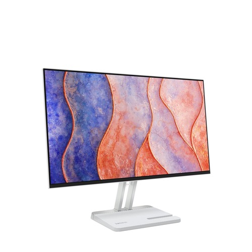 Lenovo L24-4C Monitor