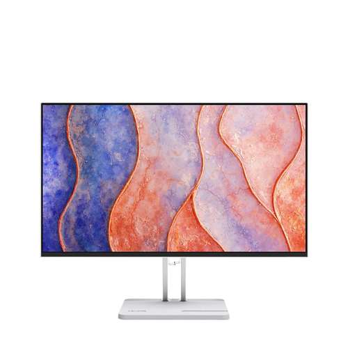 Lenovo L24-4C Monitor