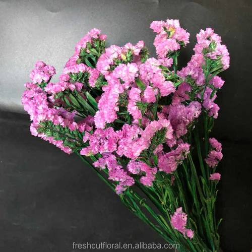 זר פרחים מיובשים קטן - עדעד ורוד