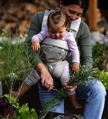 מנשא תינוק רך Osprey - Poco Soft Child Carrier LT