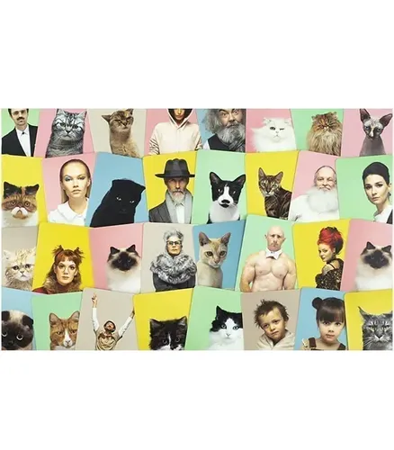 משחק זיכרון - משחק זיכרון – Do you look like your cat?