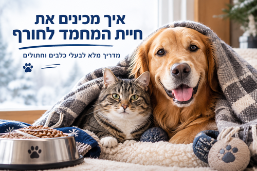 איך מכינים את חיית המחמד לחורף                                                       — מדריך מלא לבעלי כלבים וחתולים