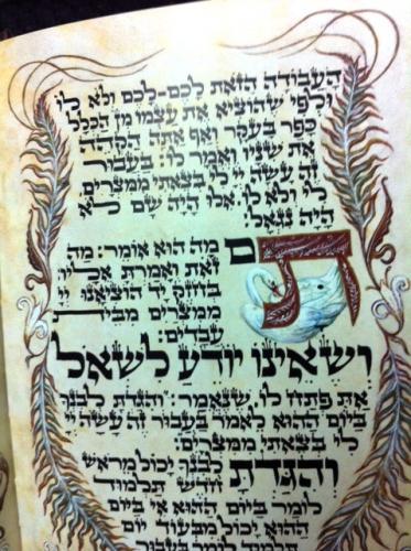 הגדה חזין דגם 98054