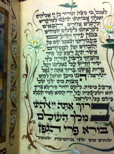 הגדה חזין דגם 98054