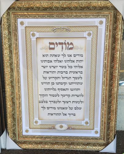 מודים דרבנן דגם 66787