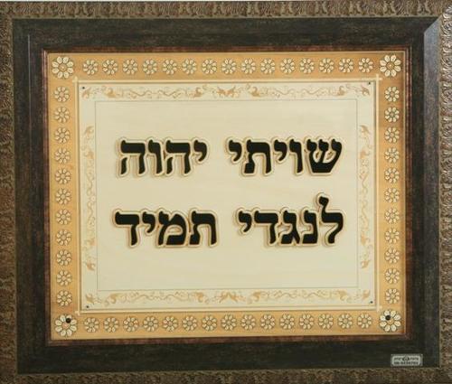 שלט 