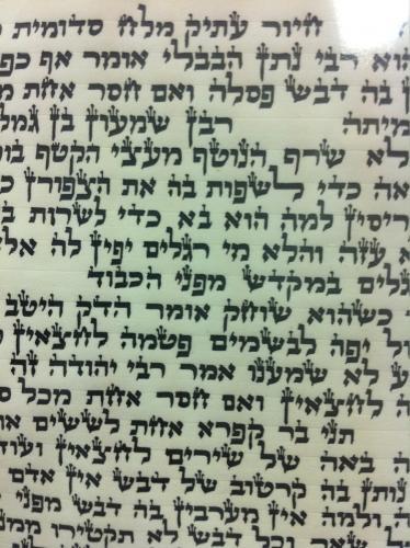 פרשת הקטורת על קלף אמיתי דגם 271