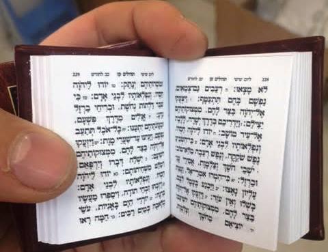 תהילים דמוי עור מיני דגם 800