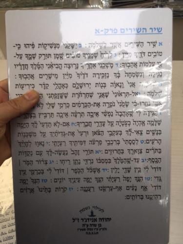 לוחות שיר השירים לילדים בבית כנסת דגם 399