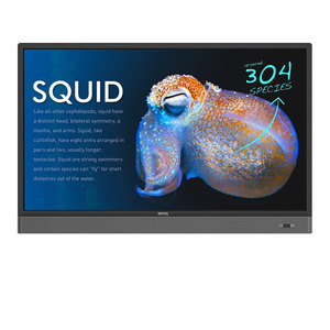  BENQ IFP PR553X