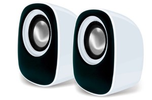 רמקולים למחשב USB בלבד- RAZINK 2602R