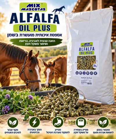 אספסת איכותית מעועשרת בשמן 20ק"ג  ALFALFA