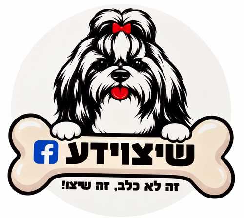 מדבקה ממותגת לרכב שיצוידע
