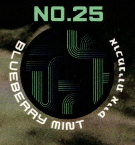 TECHNO NO.25 blueberry mint - אוכמניות מנטה טכנו 2.5 קילו
