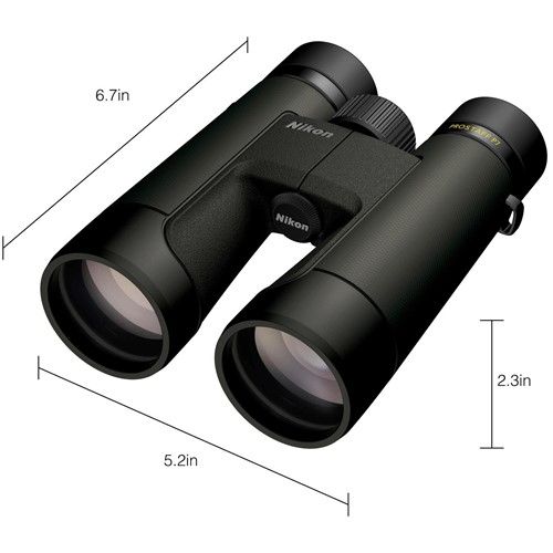 Nikon Prostaff P7 10X50 משקפת ניקון