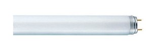 נורת פלורסנט 120 ס"מ T8 40W דו צדדי 3400LM תקן