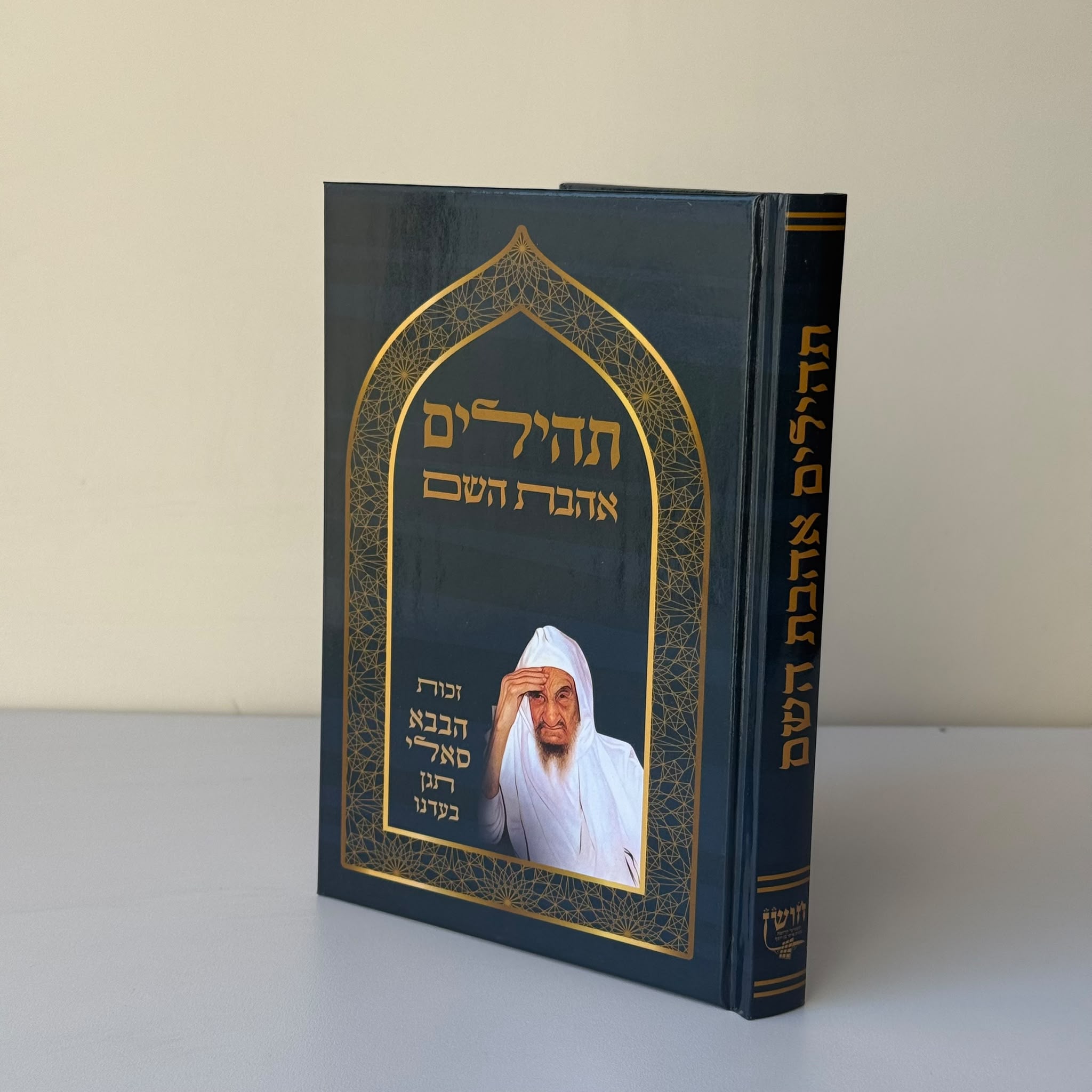 תהילים דגם בבא סאלי 