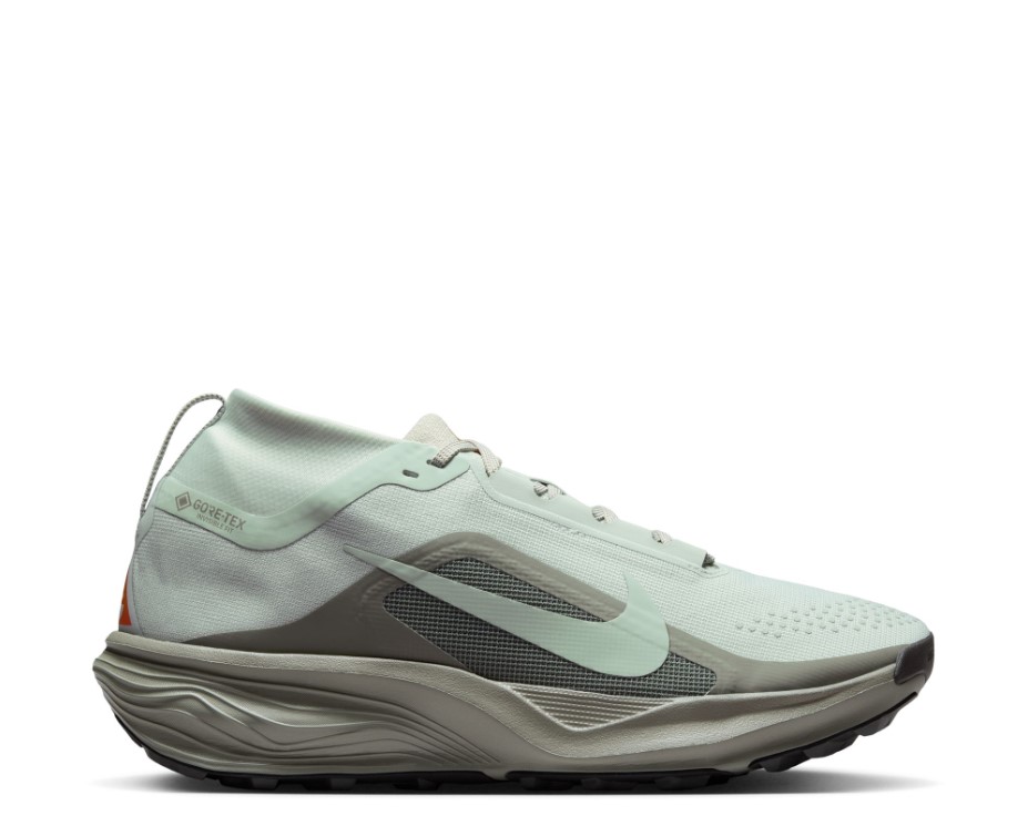 נעלי ריצה נייק Nike ACG Pegasus Trail GORE-TEX | גברים