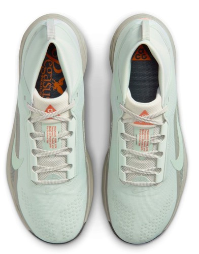 נעלי ריצה נייק Nike ACG Pegasus Trail GORE-TEX | גברים