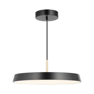 מנורת תליה ALURA 50W 50CM גוף בצבע שחור אור חם Nisko