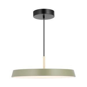 מנורת תליה ALURA 50W 50CM גוף בצבע שמפניה אור חם Nisko 
