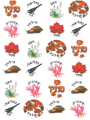 מדבקות סמלי הסתיו עם כיתוב גודל בינוני