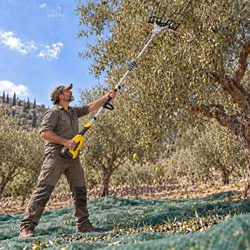 מסיק זיתים באמצעות מנערת זיתים נטענת 40V פריקה עם 8 אצבעות פחם כולל סוללה 4Ah ומטען JASPER