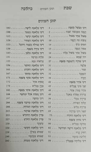 שבת כהלכה המורחב ב'