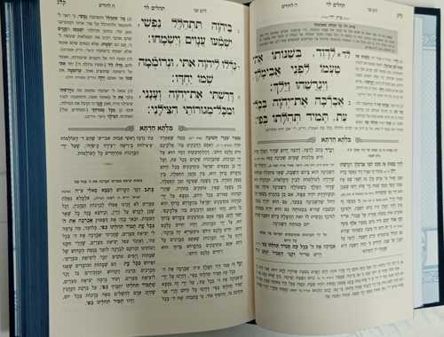 מלתא חדתא - תהלים