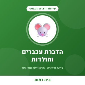 שירות הדברת עכברים וחולדות בדירה - עד 4 חדרים